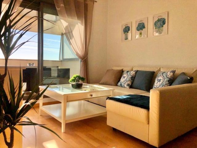 Gatu Premium Atico Parra, Parking, Piscina Comun, Terraza, Wifi , " Preferente Mayores De 25 Anos Y Familias " 圣玛丽亚港 外观 照片